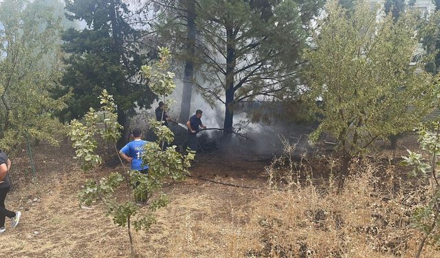 Ağaçlık alanda çıkan yangın paniğe neden oldu  - Videolu Haber