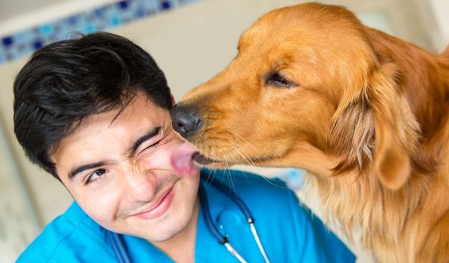 Köpeklerde mantar hastalığı insanlara bulaşabilir mi? 