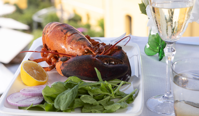 Marmara Fish Restaurant: Marmara’nın Lezzetlerini Keşfedin