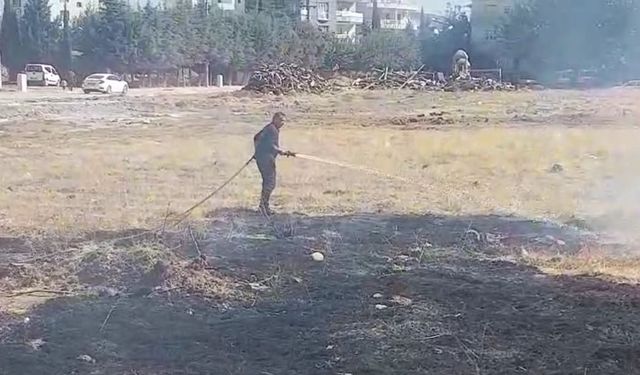 Adıyaman Yeni Mahalle'deki anız yangını çocukları ve çevreyi tehdit etti  - Videolu Haber