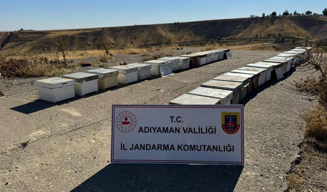 Adıyaman'da 35 arı kovanı hırsızlığına 1 gözaltı 