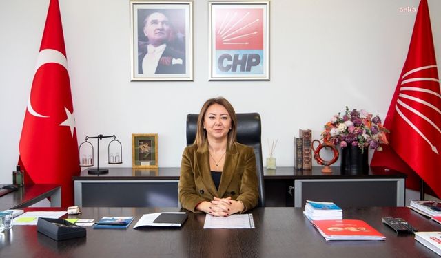 CHP'li Çiftci'den Ahmet Özer gözaltısına tepki: 'Açık kaynaktan elde edilen bilgiler suç ögesi gibi gösteriliyor' 