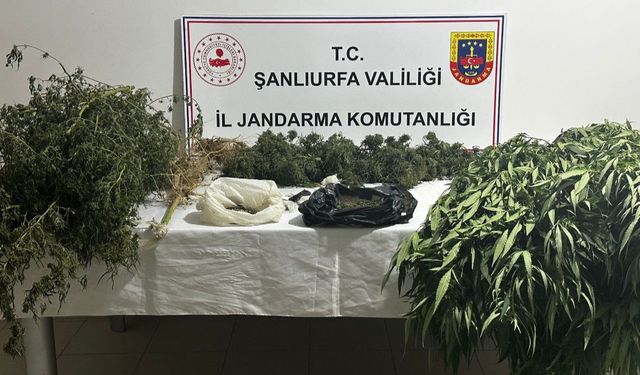 Şanlıurfa’da kilolarca uyuşturucu ele geçirildi: 9 gözaltı 