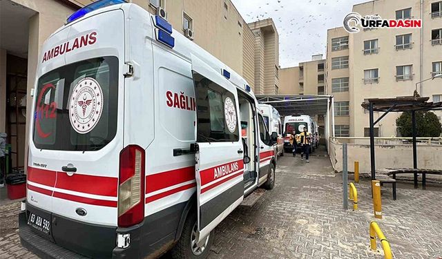 Şanlıurfa'da minibüs devrildi: 14 yaralı 