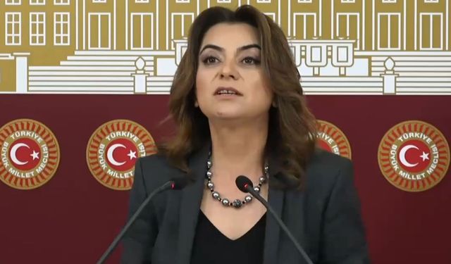 DEM Parti Grup Başkanvekili Gülistan Kılıç Koçyiğit’ten Yenidoğan Çetesi Davası eleştirisi 