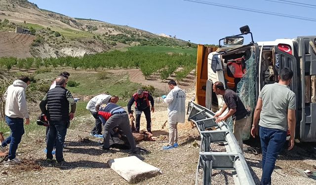 Besni’de feci kaza: Hafriyat kamyonu devrildi, 30 yaşındaki Murat Sağdıç olay yerinde yaşamını yitirdi  - Videolu Haber