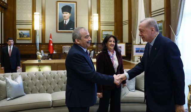 DEM Parti: 'Cumhurbaşkanı Erdoğan ile görüşme olumlu ve umut verici bir atmosferde gerçekleşti' 