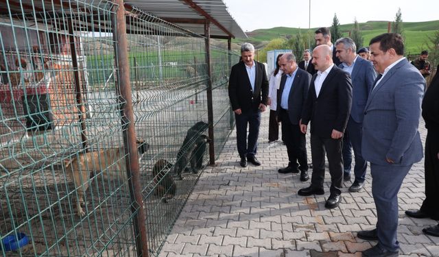 Hayvan barınakları incelendi