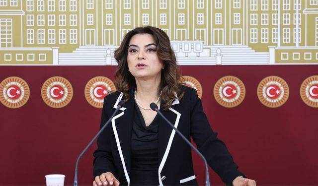 Koçyiğit: 'Sayın Öcalan’ın özgür yaşam ve çalışma koşulları hızla oluşturulmalı' 