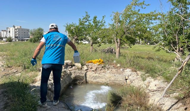Adıyaman Belediyesi’nden yaz öncesi uçkunla mücadele seferberliği 