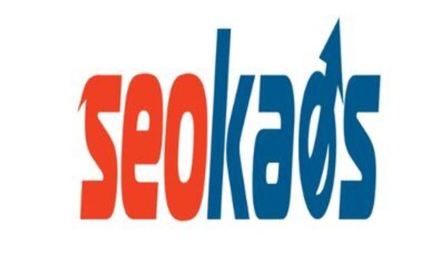 Seokaos SEO Danışmanı
