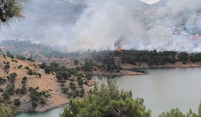 Adıyaman’da orman alanda korkutan yangın  - Videolu Haber