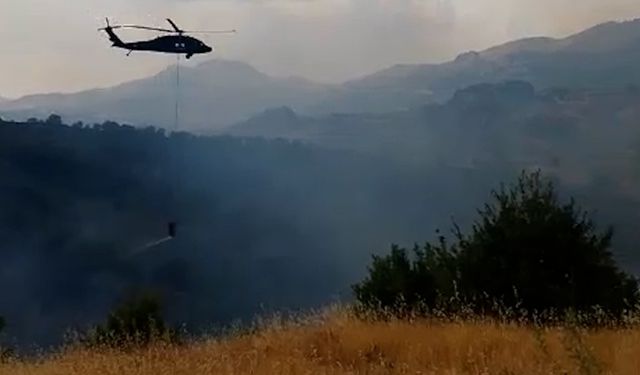 Orman yangını helikopter desteğiyle kontrol altına alındı  - Videolu Haber