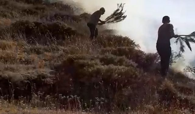 Adıyaman Koçali Köyü'nde orman yangını helikopter desteğiyle söndürüldü  - Videolu Haber