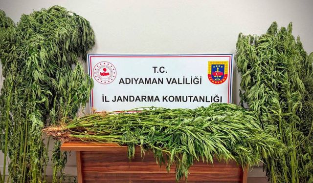 Adıyaman’da Uyuşturucu Operasyonu: 9 Gözaltı, 2 Tutuklama 
