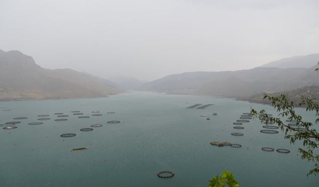 Çelikhan’a yağan yağmur yüzen adalara hayat verdi  - Videolu Haber