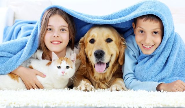 ‘Kedi ve Köpek Tüyü Hastalık Yapar mı?’: Veteriner Hekim Mustafa Yıldız yanıtladı 