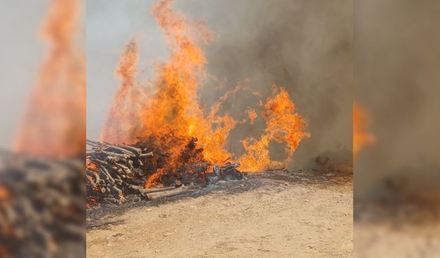 Malatya’nın Doğanyol ilçesinde yangın: Müdahale çalışmaları sürüyor   - Videolu Haber