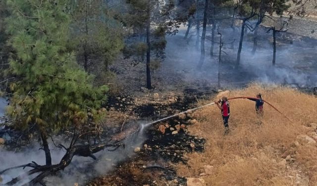 Besni'de fabrika bahçesinde çıkan yangın kısa sürede söndürüldü - Videolu Haber