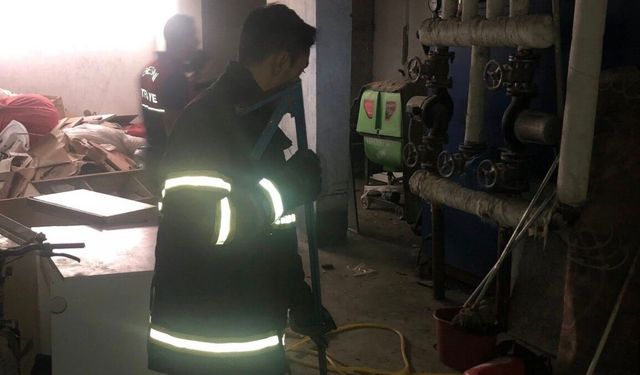 Besni'de, yakalanan yılan doğaya salındı - Videolu Haber