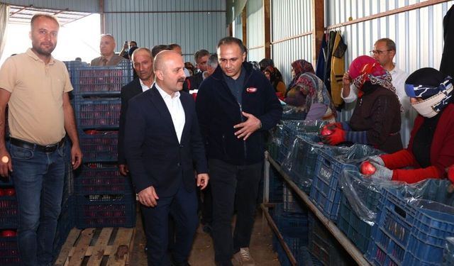 Vali Osman Varol, nar hasadının ardından soğuk hava deposunu inceledi