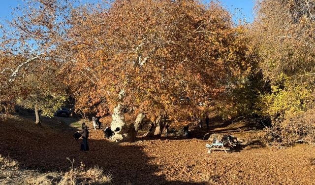 Adıyaman Zeynel Abidin Türbesi kış günlerinde ziyaretçi akınına uğradı - Videolu Haber