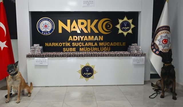 Adıyaman'da kamu düzeni ve güvenliğe yönelik denetimler artırıldı