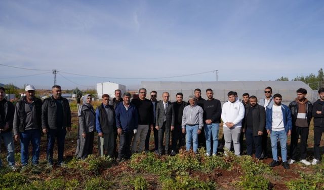 ADYÜTAYAM'da yer fıstığı hasadı ve sera denemeleri başarıyla tamamlandı