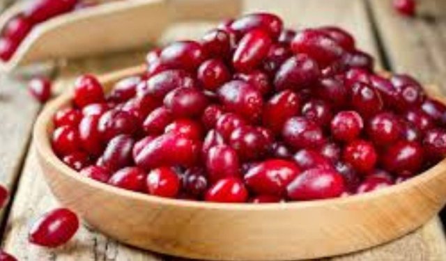 Grip ve soğuk algınlığına karşı kızılcık öne çıkıyor