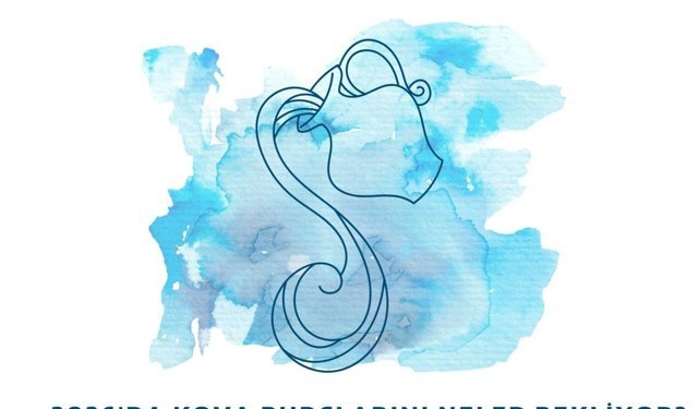 2026'da Kova burçlarını neler bekliyor?Kovalar sistemi mi değiştirecek, yoksa sistemin dışında mı kalacak?