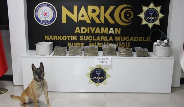 Adıyaman'da narkotik operasyonu: 3 kilo skunk ele geçirildi