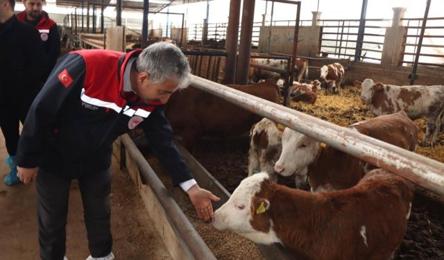 Daire Başkanı Melikşah Taşkın'dan hastalıktan ari işletme incelemesi