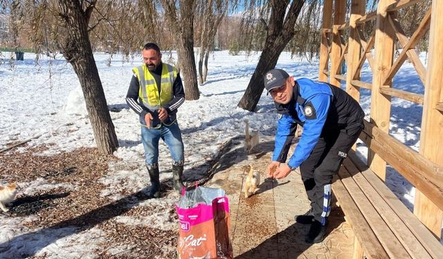 Soğuk havada sokak hayvanlarının yardımına polis koştu