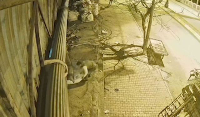 Adıyaman'da işyerlerinden bakır ve hurda çalan 4 şüpheli tutuklandı - Videolu Haber