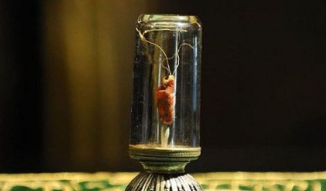 Sakal-ı Şerif Adıyaman'da ziyarete açılıyor