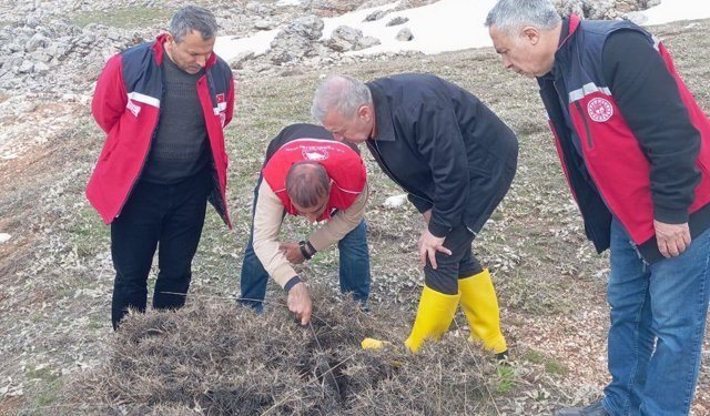 Adıyaman'da Süne mücadelesi için ilkbahar kışlak sürveyleri yapıldı