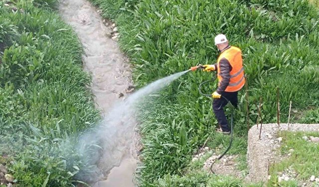 Kahta Belediyesi'nden haşerelere karşı yoğun mücadele