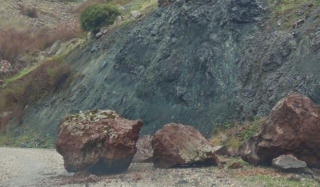 Sincik'te kuvvetli yağış sonrası köy yoluna kaya düştü