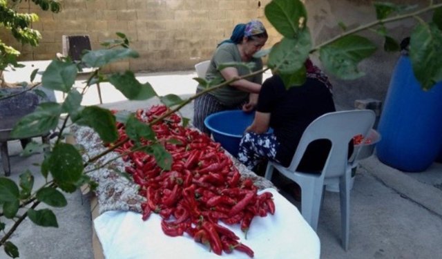 'Tükettiğimiz Dünya' etkinlikleri devam ediyor: Belgesel gösterimi sonrası forum düzenlenecek