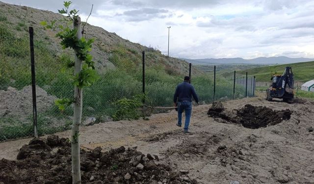 Adıyaman Belediyesi'nden 3 bin gezen tavuk için doğal yaşam alanı