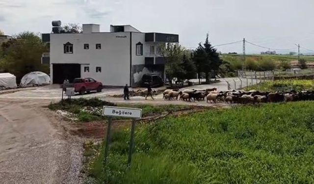 Adıyaman İl Özel İdaresi Çalışmalarını Aralıksız Sürdürüyor - Videolu Haber