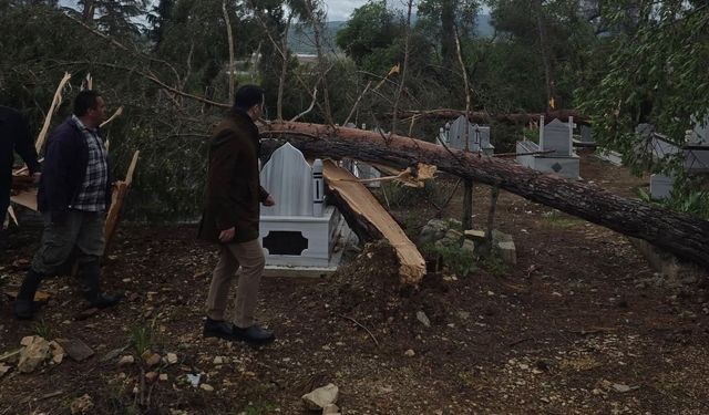 Adıyaman’da Fırtına Hasarı: Ağaçlar Devrildi, Mezarlık Zarar Gördü