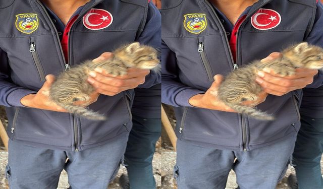 Gölbaşı’nda Duvara Sıkışan Yavru Kedi Kurtarıldı