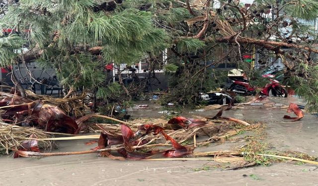 Şanlıurfa’da Fırtına Ve Dolu Etkili Oldu: Araçlar Devrildi, Minare Yıkıldı