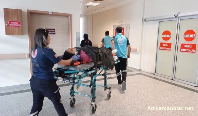 Adıyaman'da Kediden Kaçarken Şarampole Yuvarlandı: 3 Yaralı