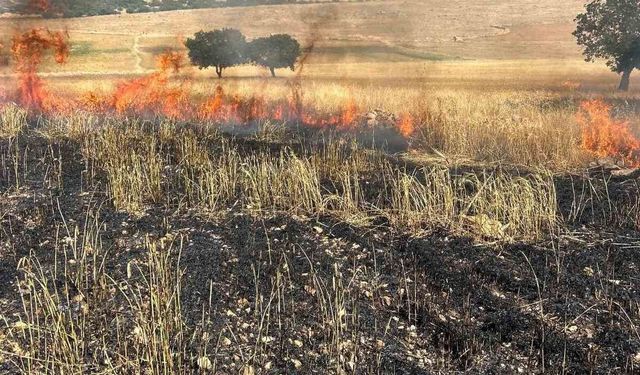 Diyarbakır Çınar'da Tarla Yangını 200 Dönüm Zarar Gördü
