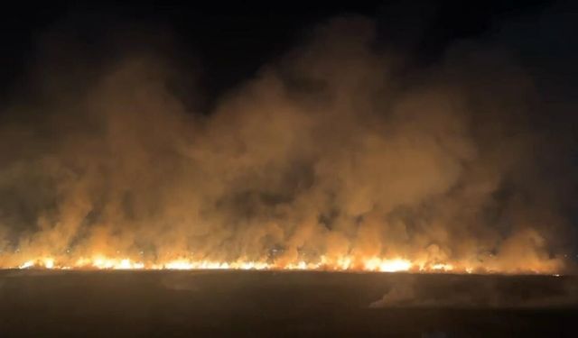 Diyarbakır'da Anız Yangını Geceyi Kızıla Boyadı
