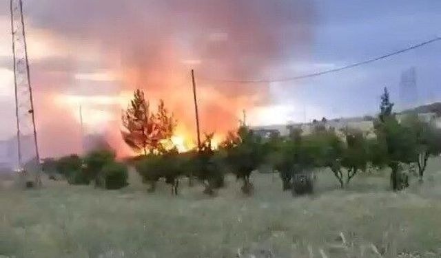 Kahta'da Yangında 30 Dönüm Buğday Tarlası Zarar Gördü