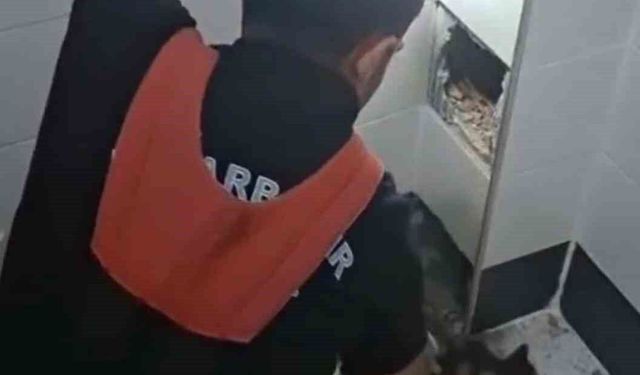 İtfaiye erleri havalandırma boşluğunda kalan kedi için seferber oldu
