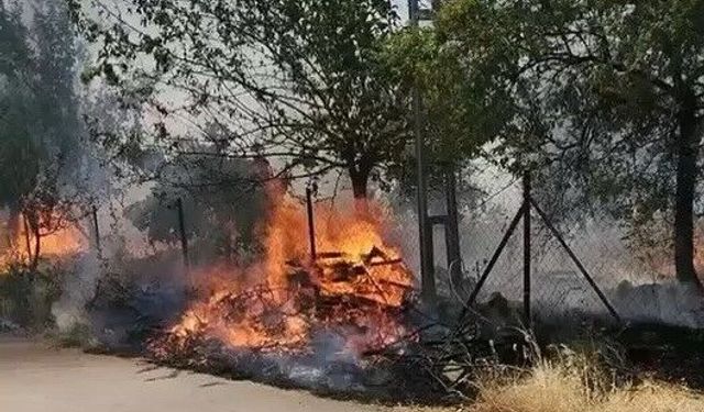 Adıyaman’da Ormanlık Alanda Yangın